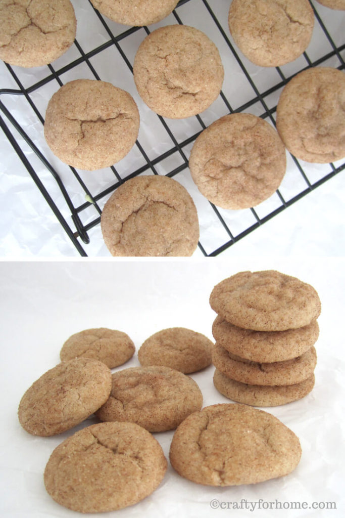 Rolled Cinnamon Sugar Cookies
