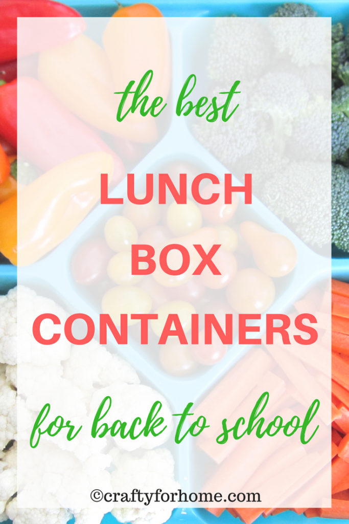 Functional and durable food containers for school lunch boxes, meal prep, or storing any leftover | craftyforhome.com | #lunchboxes #foodcontainers #foodstorage #backtoschool