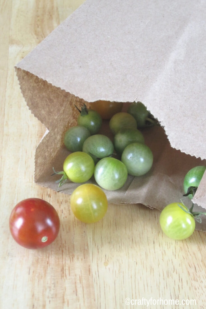 How To Ripen Green Tomatoes Indoors | Store your green tomatoes indoor at the end of growing season. Here are four tips on how to do it so you can enjoy these tomatoes later on in the fall or winter. #vegetablegarden #growingtomatoes #greentomatoes find out these easy tips on www.craftyforhome.com