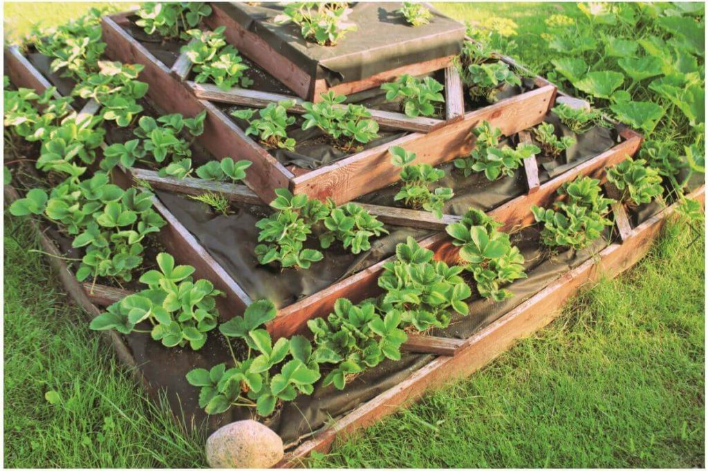 All New Square Foot Gardening Book | Crafty For Home