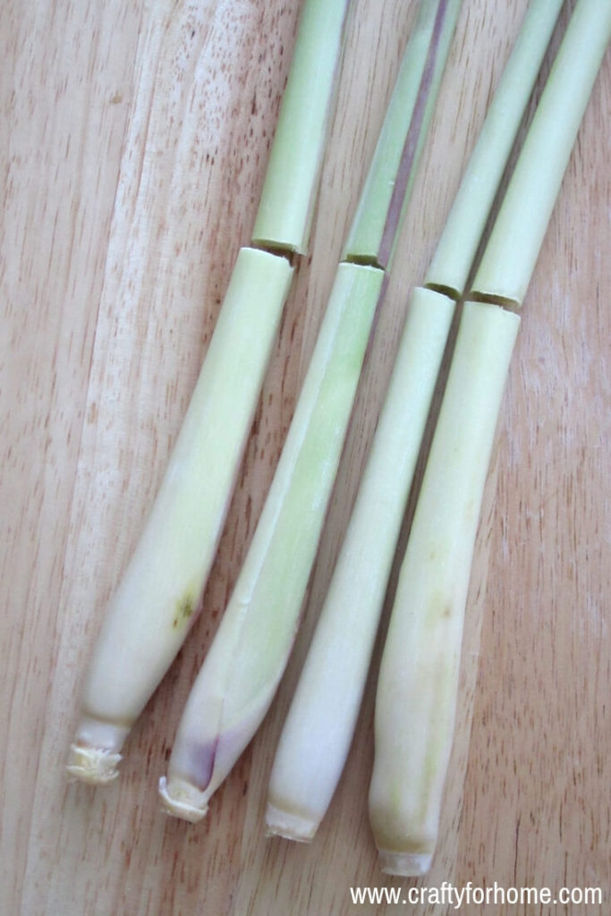 How To Grow Lemongrass From Kitchen Scraps | If you like to use lemongrass, you might want to regrow lemongrass plant from scraps. Learn how easy to root the lemongrass stalk to make more plants and give you endless supply you need. #growinglemongrass #growinglemongrassindoors #growinglemongrassinacontainers #propagatinglemongrass #lemongrassherbgarden #plantinglemongrassfromscraps for details on www.craftyforhome.com