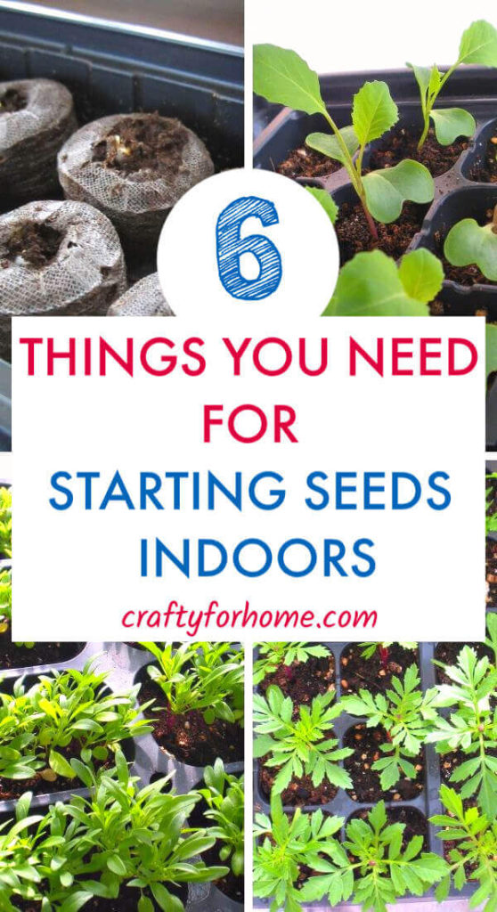 6 Things You Need For Seed Starting Indoors