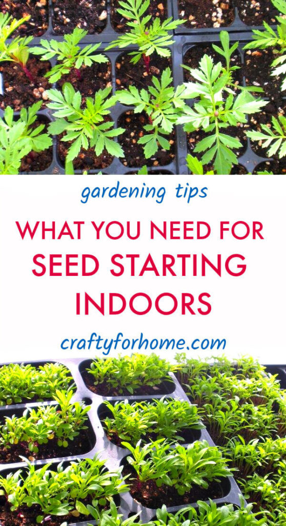 What You Need For Seed Starting Indoors