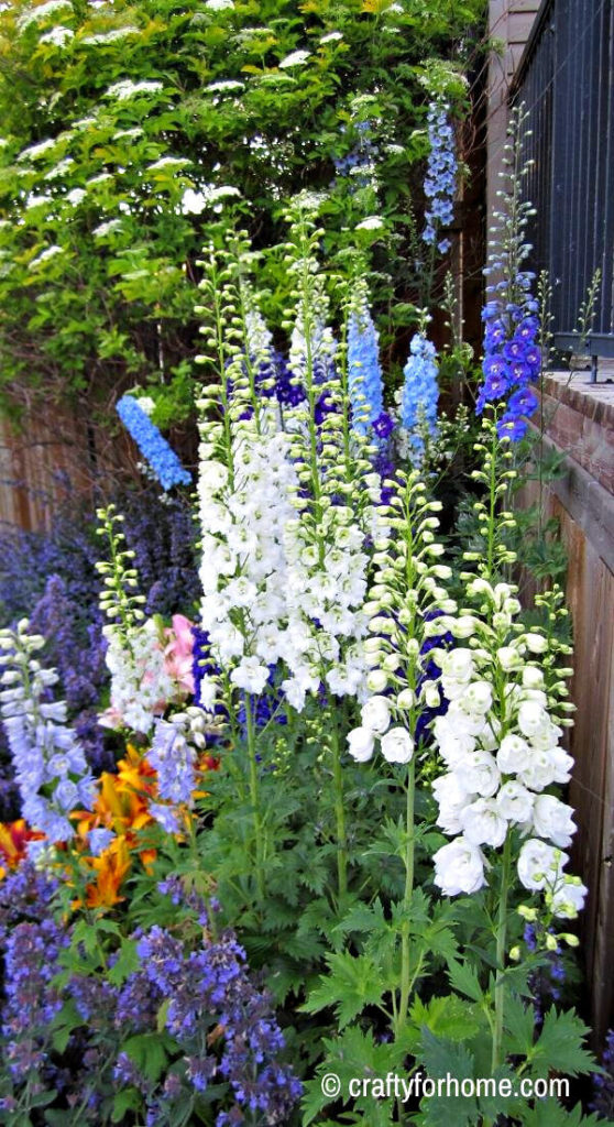Delphinium With Lily