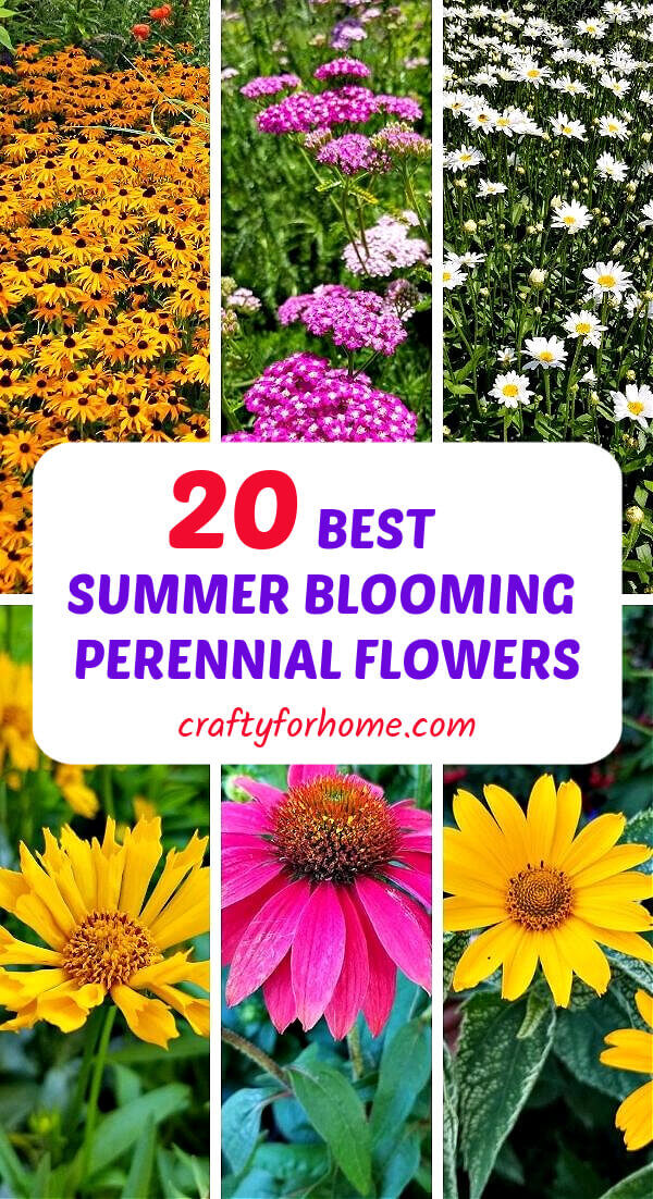 Late Summer Blooming Perennial Flowers | Crafty For Home