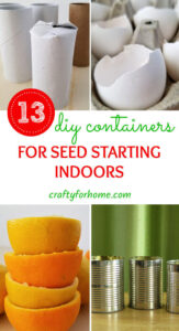 DIY Container For Seed Starting Indoor