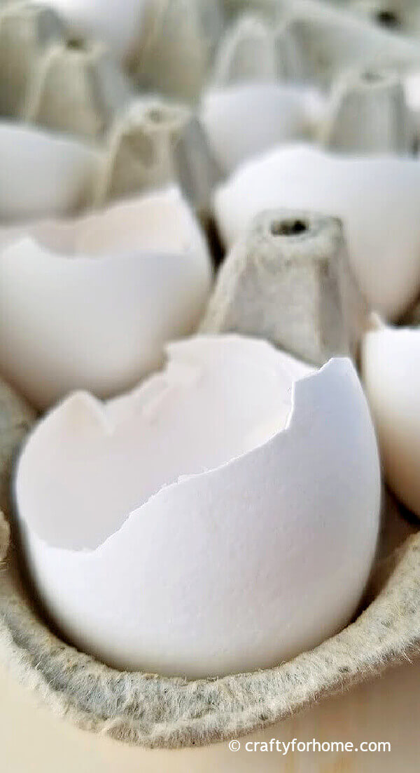 Tips for using eggshells in the garden crafty for home
