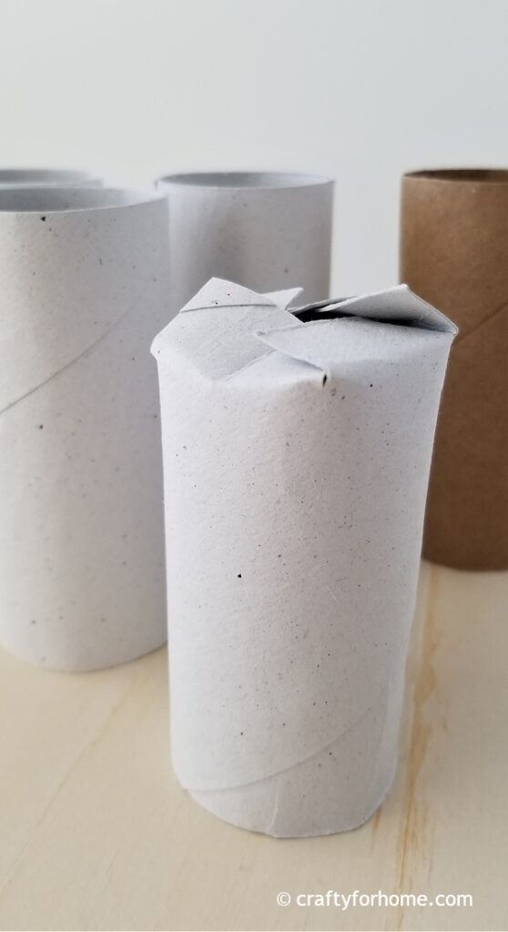 Tissue Paper Roll Planter