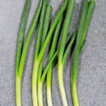 Container garden green onion.