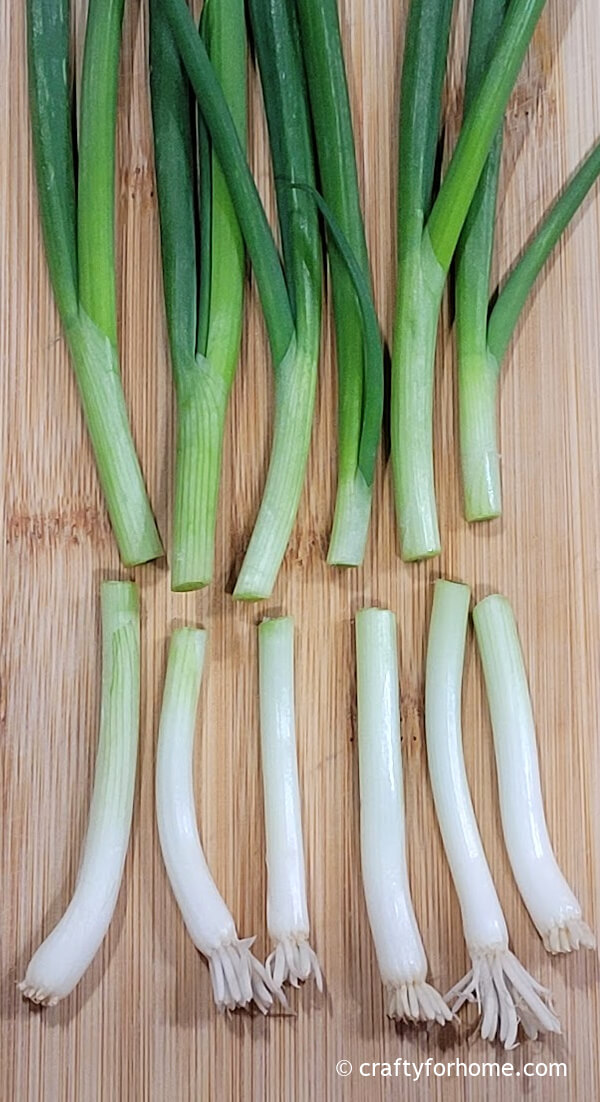 Green onion cutting stalks.