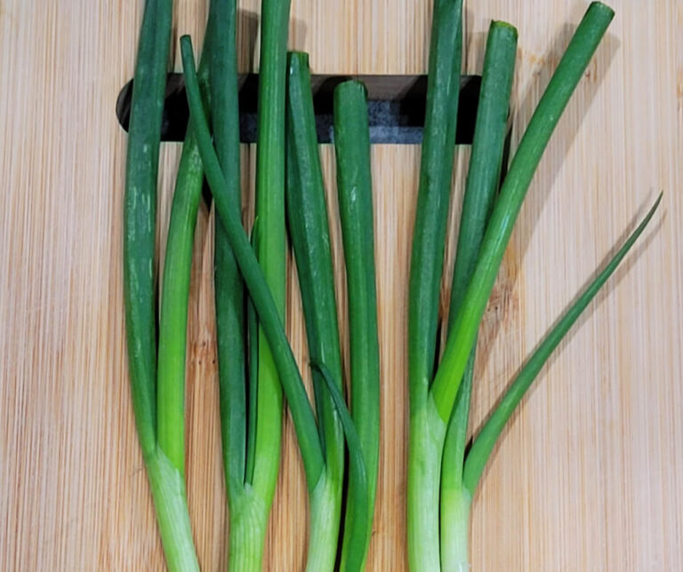 Growing Green Onion In Containers Easy Kitchen Garden Crafty For Home