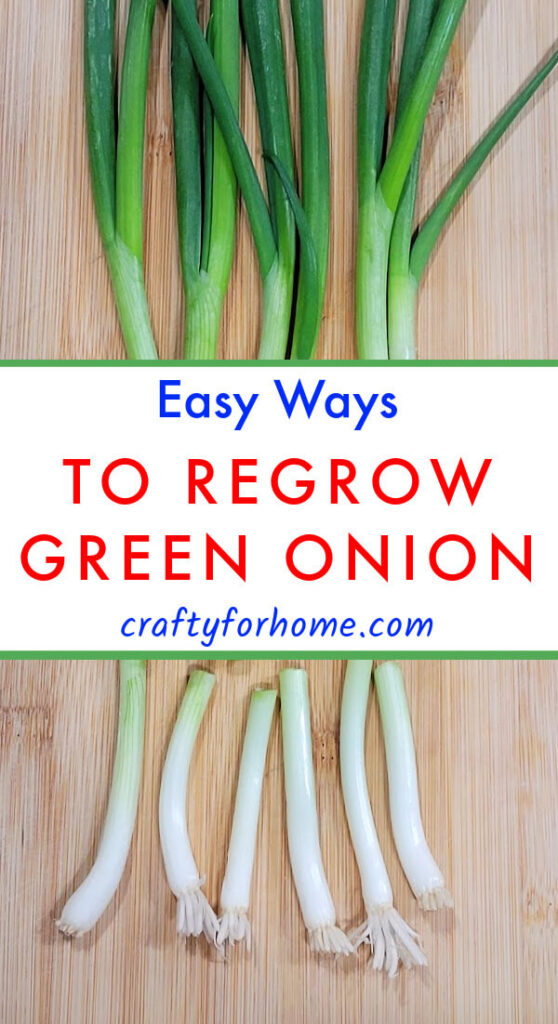 Regrow Green Onion In Water | Crafty For Home