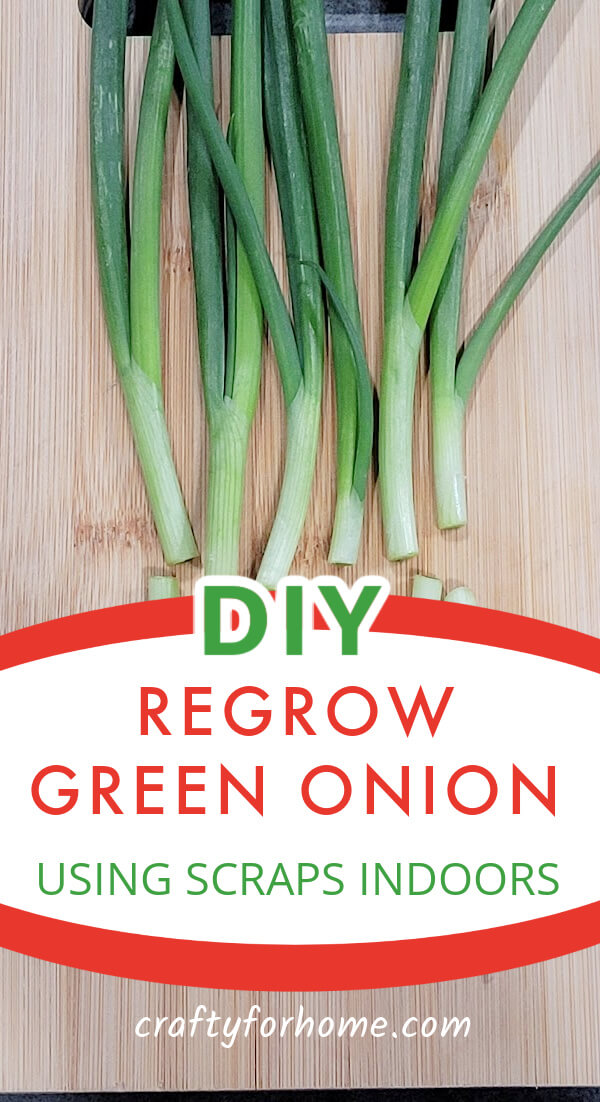 Regrow Green Onion.