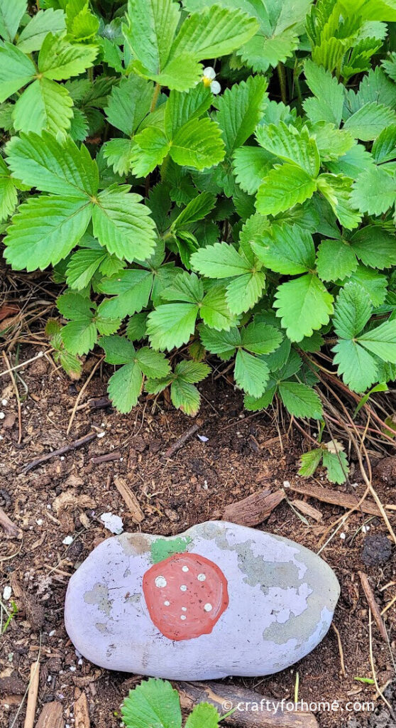 Painted rock beside alpine strawberry plant.